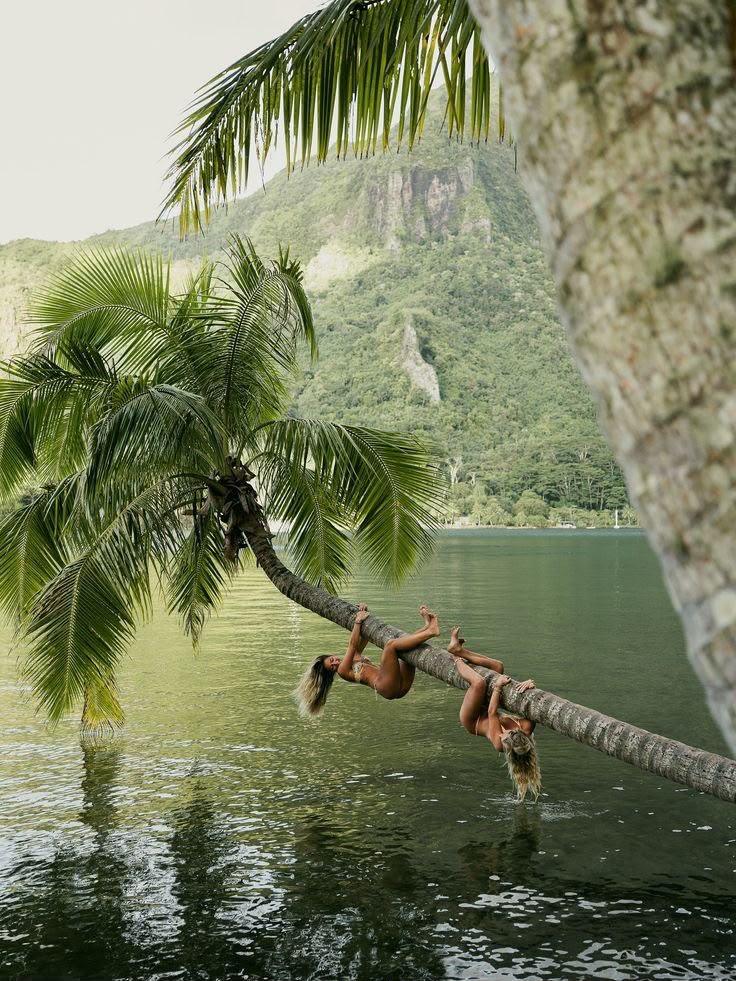 Dos amigas colgadas de una palmera sobre el agua